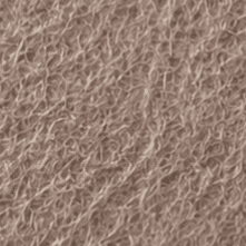 PETfelt Canvas